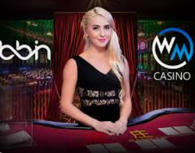 电子游戏平台jdb手机版